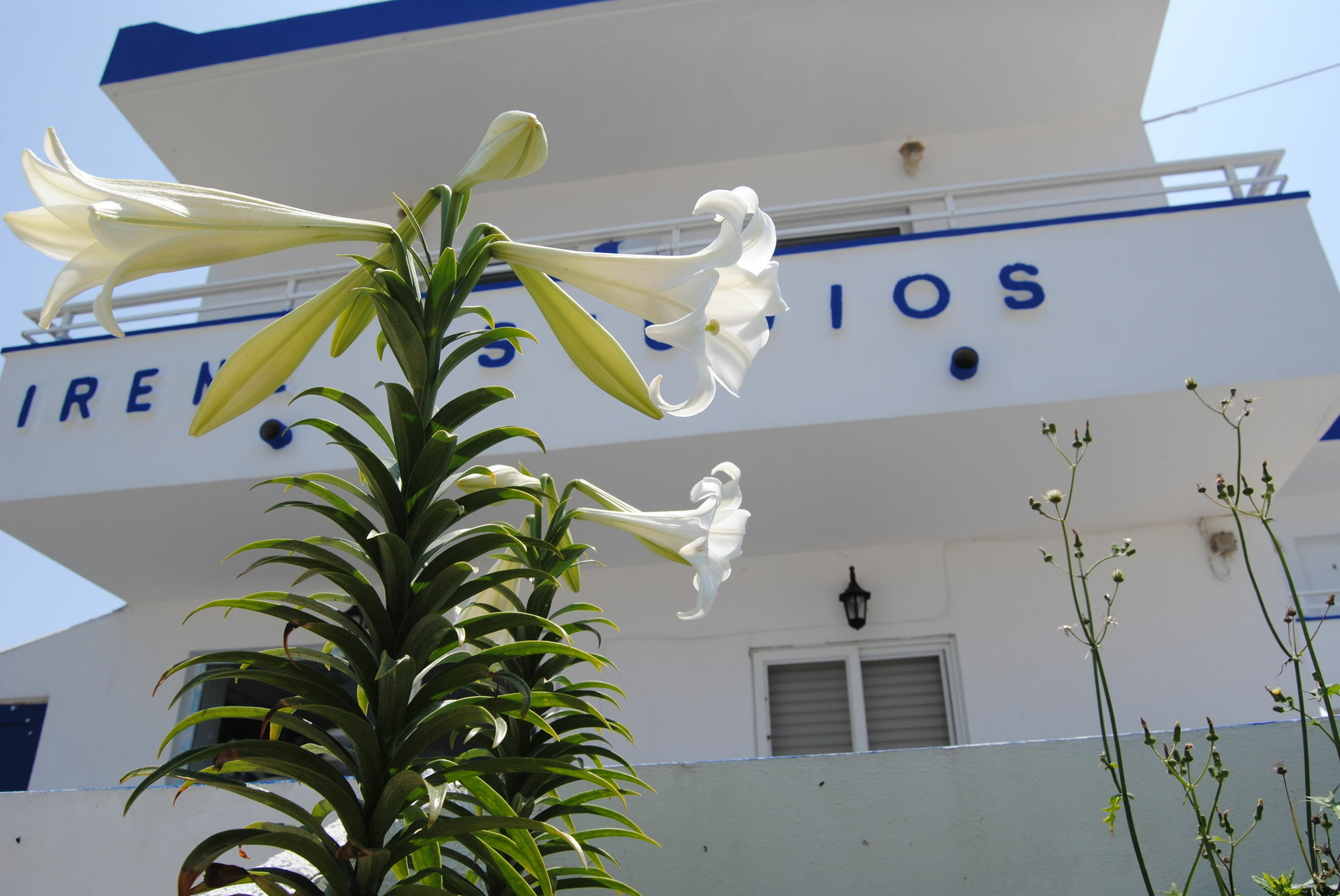 Irene Studios Kéfalos Exteriér fotografie